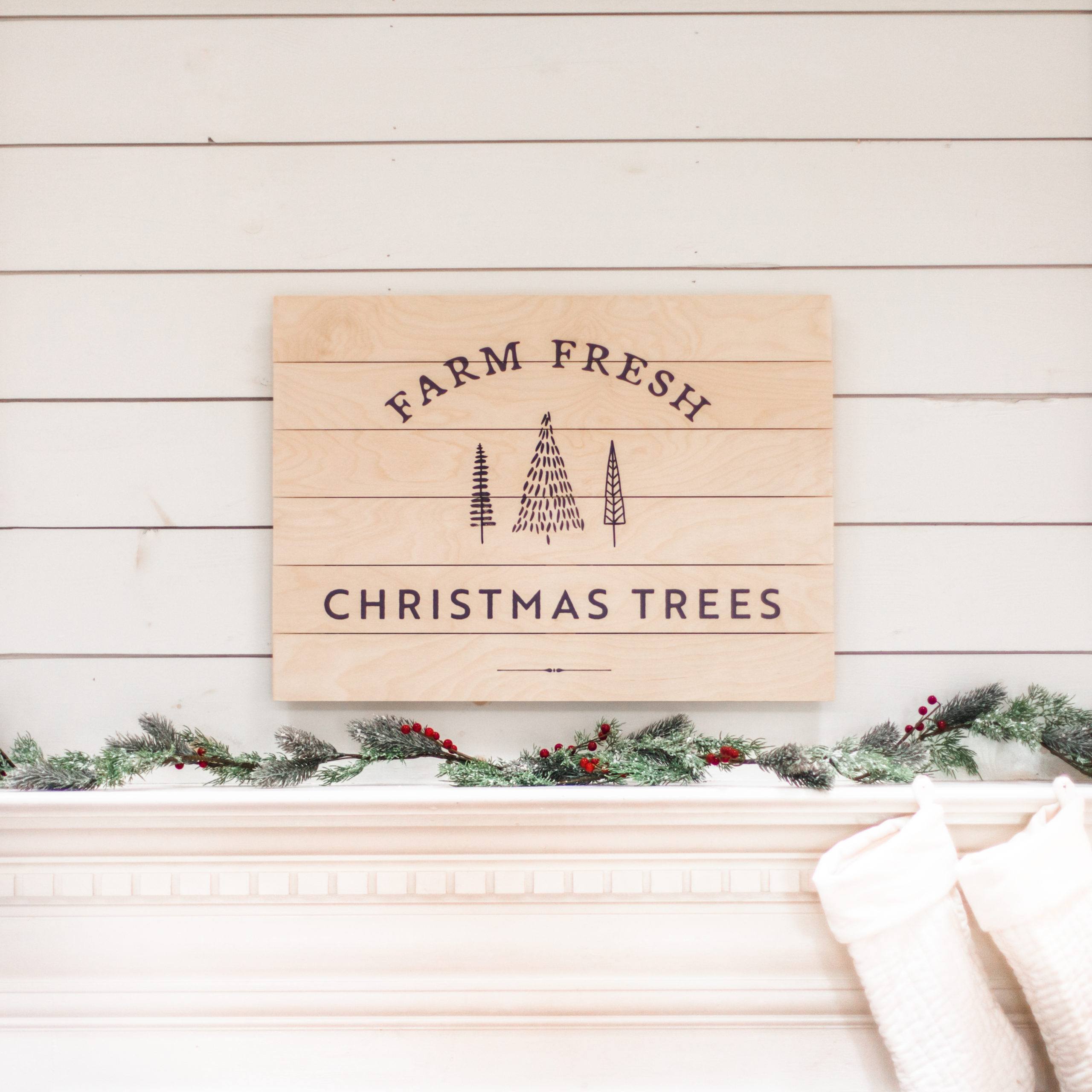 Farm Fresh Christmas Trees