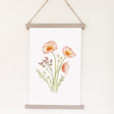 Pink Poppies