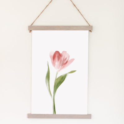 Pink Tulip