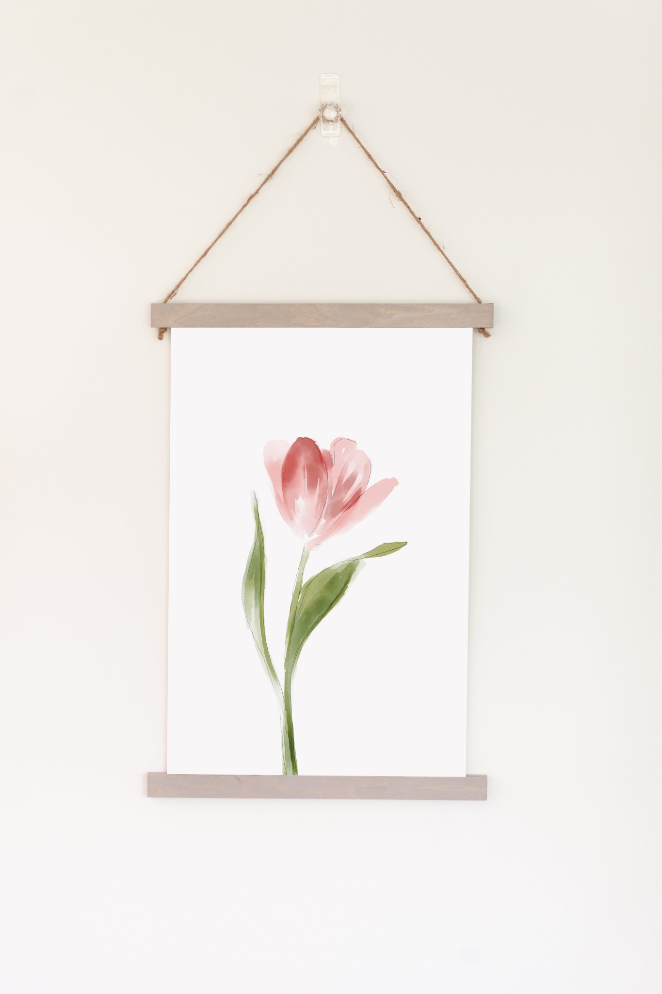 Pink Tulip